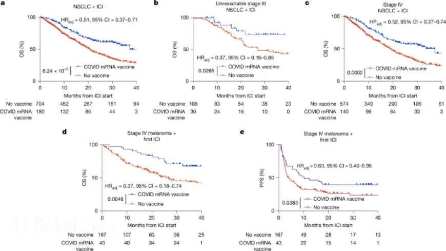 mRNA Vaccines Enhance Tumor Sensitivity to Immune Checkpoint Blockade
