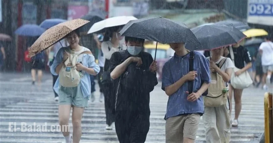 Northeast Monsoon Brings Wet, Cool Weather to North Taiwan, Temps Drop to 20°C
