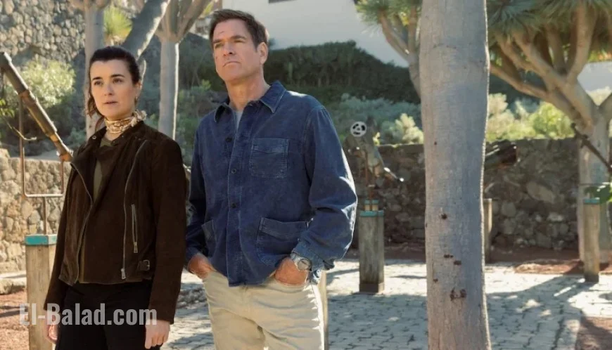 Showrunner John McNamara Discusses Tony & Ziva Series Finale