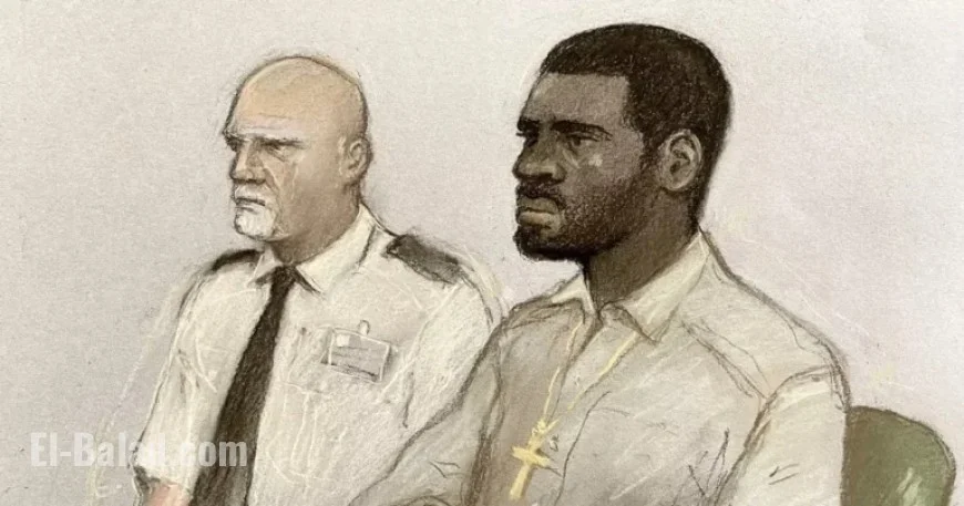 Bizarre Discovery in Suitcase Murder Case Unfolds with New Developments