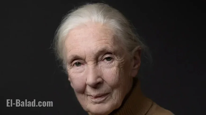 Jane Goodall’s Cause of Death Announced