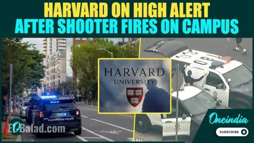 Harvard shooting alert lifts after man on bicycle fires shots in Cambridge; campus returns to normal operations