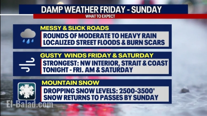 Seattle Faces Gusty Winds and Heavy Rain on Friday