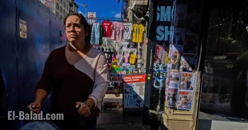 Canal Street Rebounds in NYC Following ICE Raid