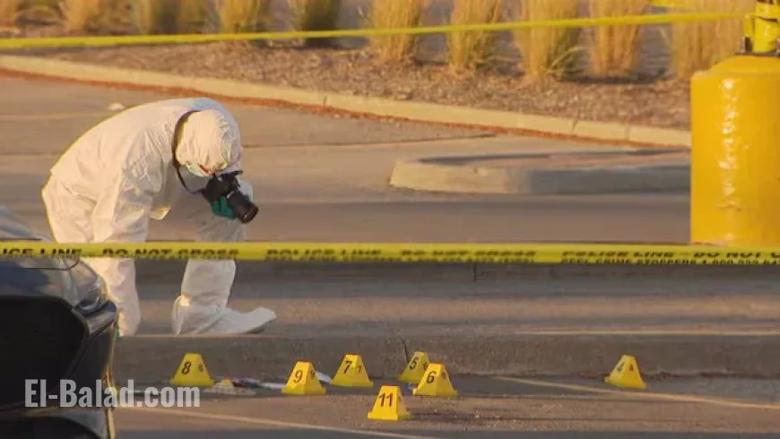 How Can Canada Effectively Combat Violent Crime?