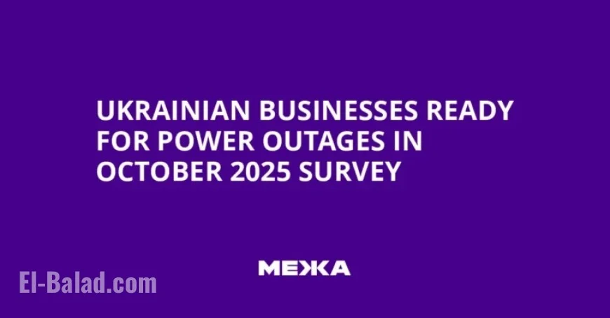 Survey: Ukrainian Businesses Prepared for October 2025 Power Outages