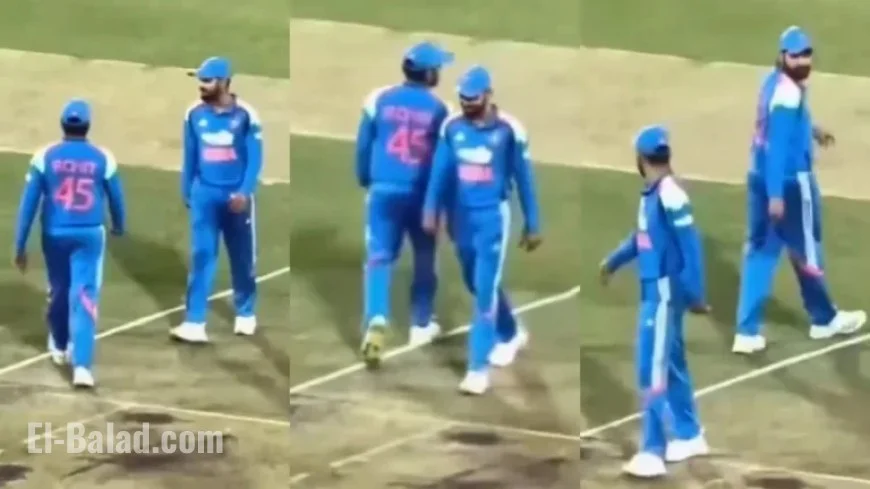 Fans in Sydney Celebrate Viral Rohit Sharma-Virat Kohli Exchange | Watch