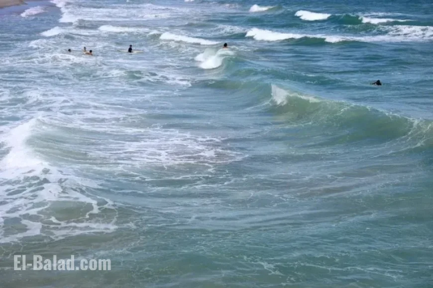 Florida Residents Warned to Avoid Water Amid Safety Concerns