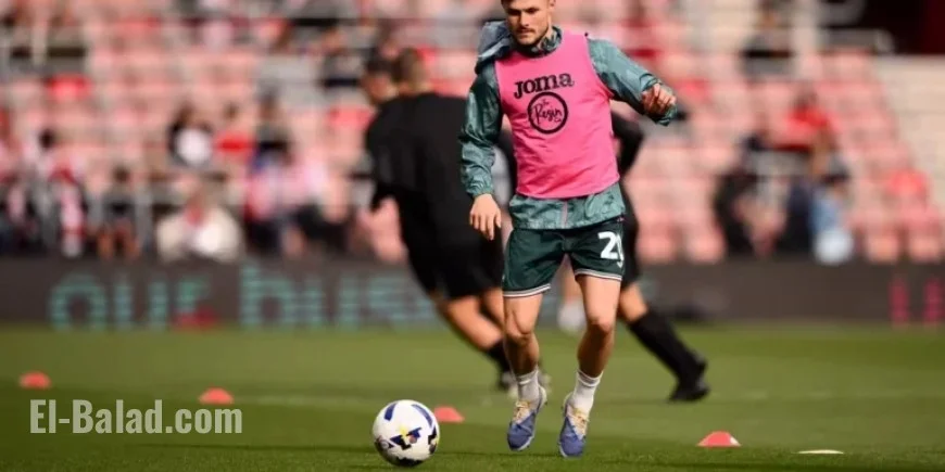 Swansea vs Norwich: Key Team Updates
