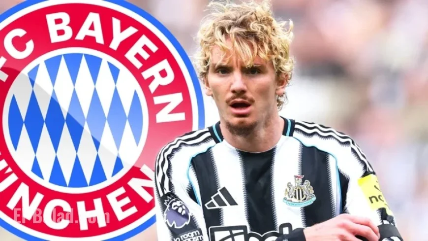 Bayern Munich Keeps Transfer Hope Alive Despite Criticism of Newcastle’s Striker Purchase