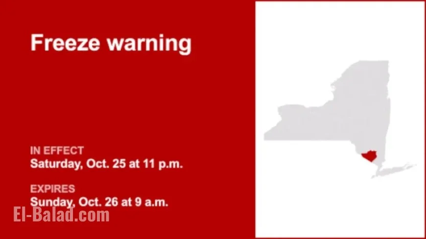Orange County Freeze Warning: Temperatures May Drop to 31°F Until Sunday Morning