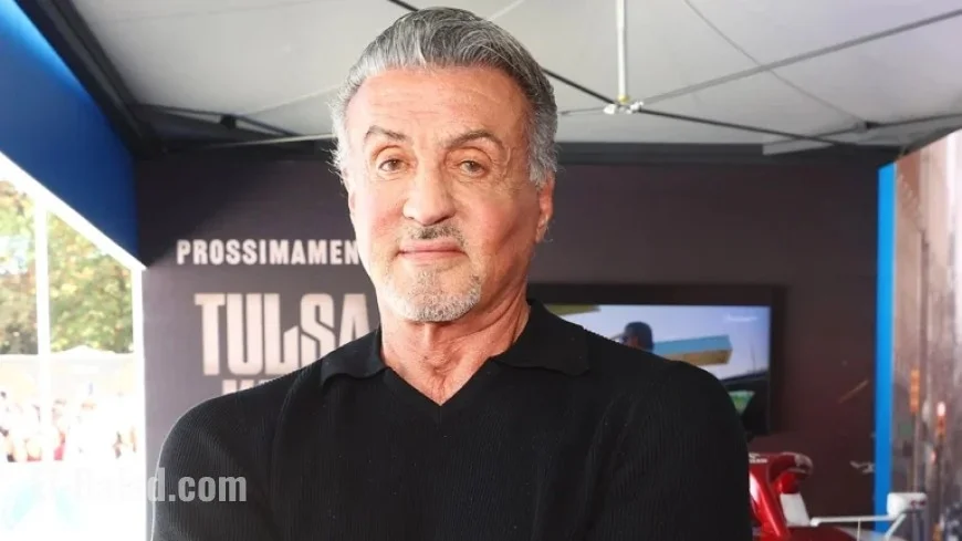 Sylvester Stallone Shares Hollywood Snub and His Triumphant Comeback