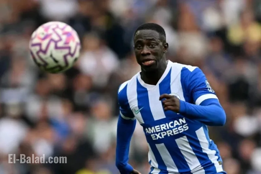 Yankuba Minteh’s Impact on Brighton Increases Weekly