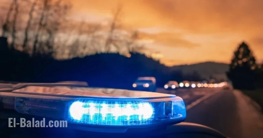 Honduran Man Dies Fleeing ICE on Virginia Highway