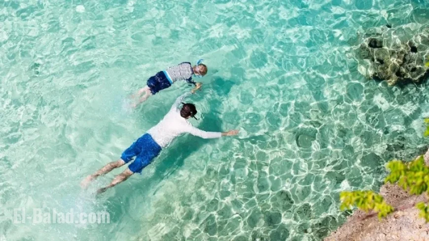 Travelers Favor World’s Safest Caribbean Island: Discover Why