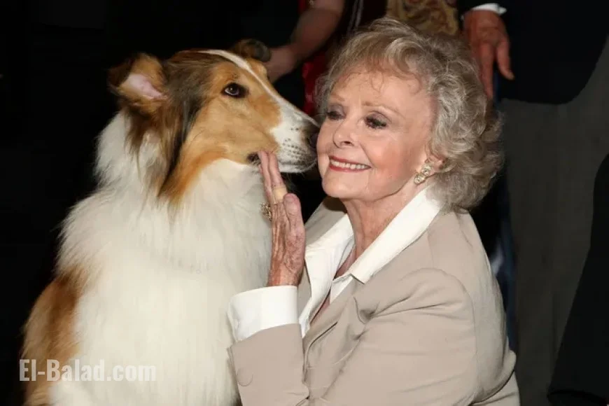 June Lockhart net worth: what the “Lassie” and “Lost in Space” legend likely left behind