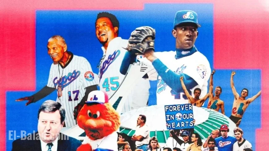 Unraveling the Enduring Obsession with the Montreal Expos