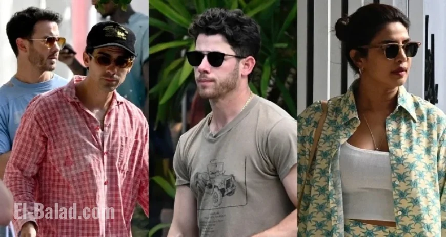 Jonas Brothers and Priyanka Chopra Gather for Miami Lunch Meeting
