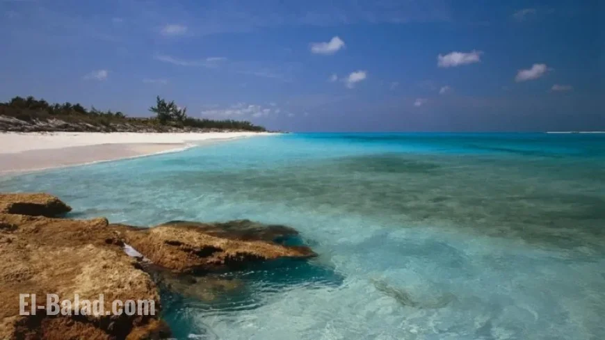 Bahamas Authorities Detain Eight Americans Over High-Powered Weapons Cache