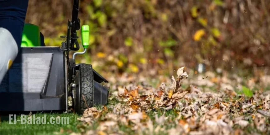 When to Stop Mowing Your Lawn for Winter Preparation