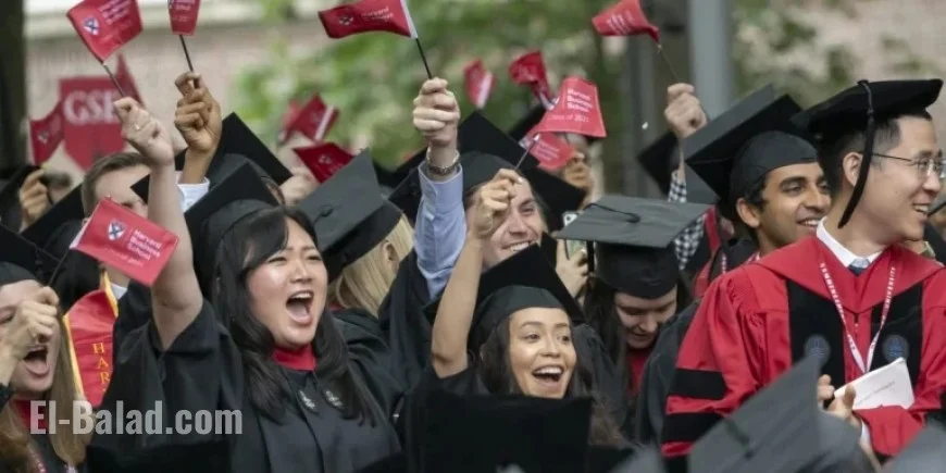 Oxford Graduate Explores Why Gen Z Talent Rejects Top Firms Like McKinsey