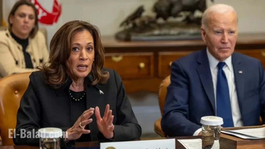 BBC Journalist Challenges Kamala Harris on Biden’s Capacity Concerns