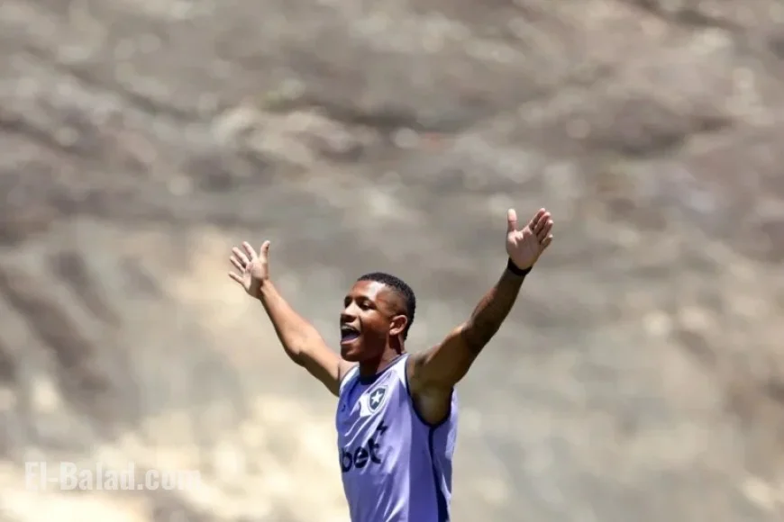 Danilo and Arthur Cabral Ready to Face Santos in Botafogo Squad