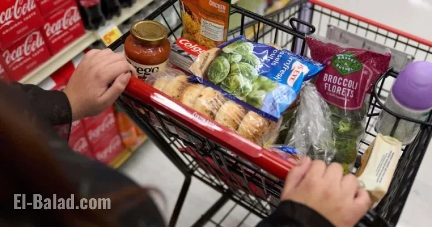 Trump Administration Halts Federal Food Aid from Nov. 1 Due to Shutdown