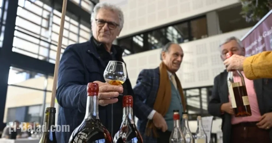Discover France’s Finest Wines at Lyon’s Halle Tony-Garnier