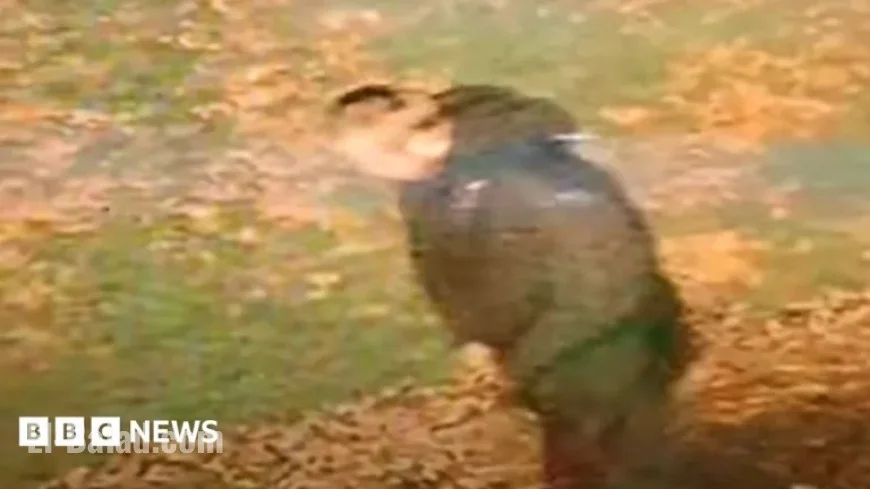 Police Release Video of Suspect in Racially Aggravated Walsall Rape