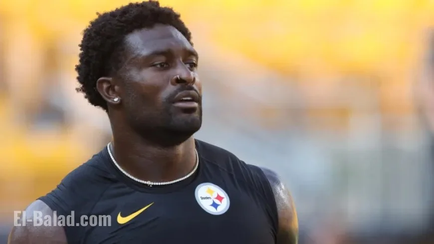 Is DK Metcalf Playing Tonight? Steelers WR Falters in Week 8 Opener