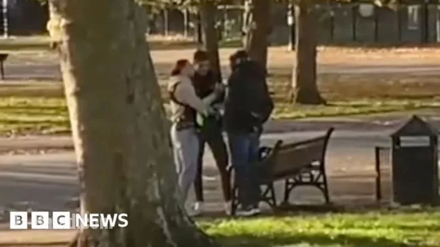 Migrant Sex Offender Arrested Swiftly in London Park