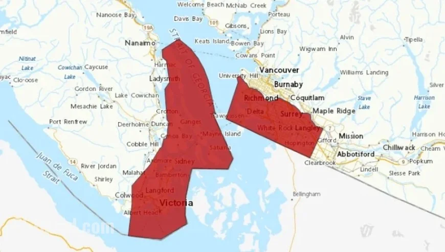 Wind Alert for South Coast B.C., Impacting Metro Vancouver Areas