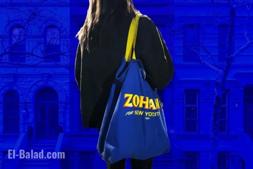 Surprising Insights from Door-to-Door Campaigning with Zohran Canvassers