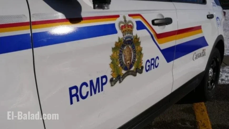 Police Report Armed Individual in Waverley Home: Alert Issued