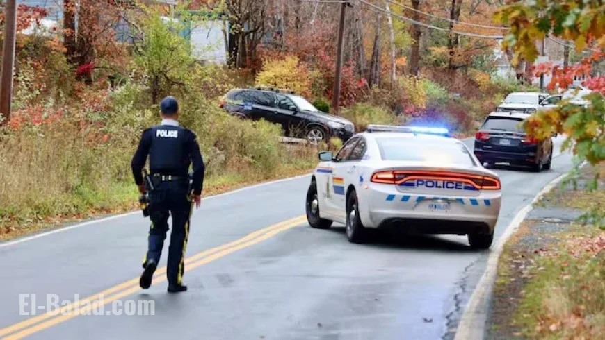 Waverley Residents Advised to Shelter as Armed Suspect Roams