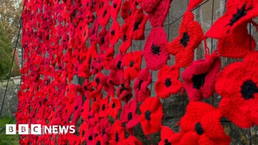 Heddington Honors Remembrance with 7,000 Knitted Poppies Display