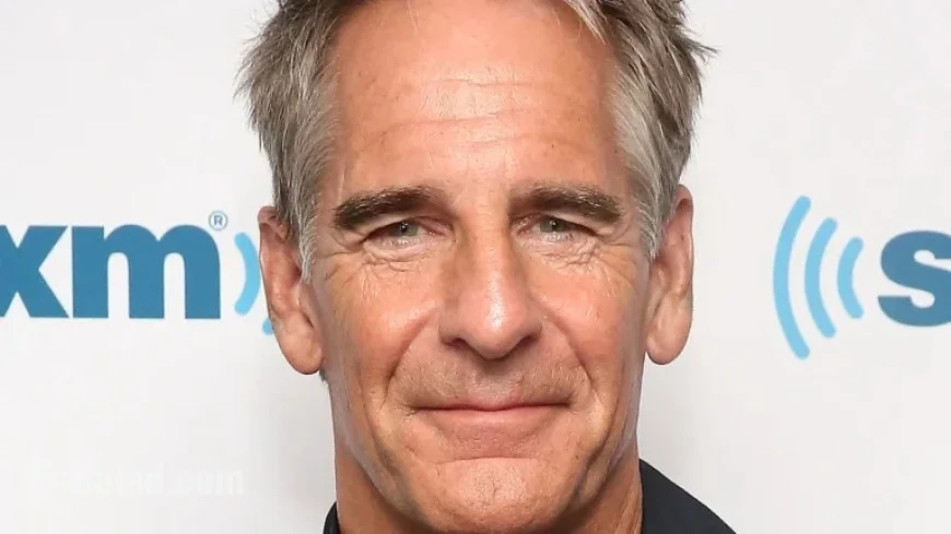Star Trek Unveils Surprising Character, Delighting Dedicated Fans
