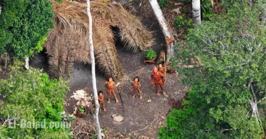 Rising Threats Endanger Survival of Uncontacted Indigenous Peoples