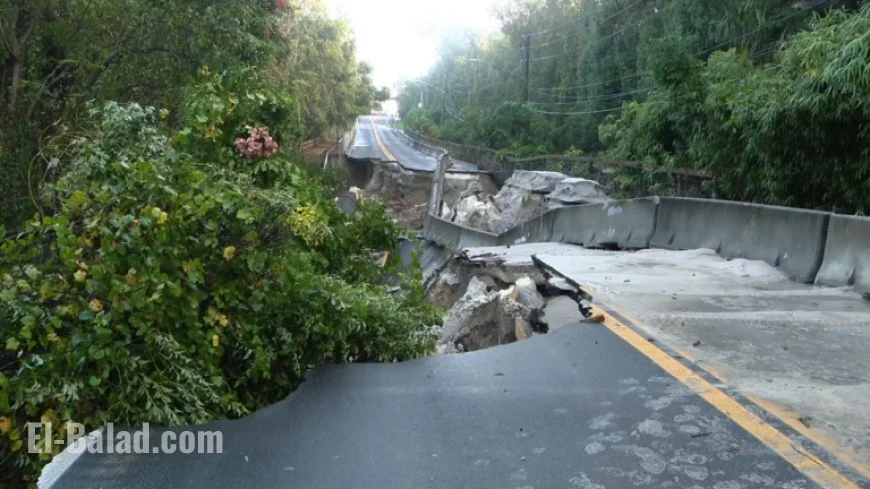 Florida Faces Flash Flooding: Emergencies Declared, Sandbags Distributed, Heavy Rainfall Totals