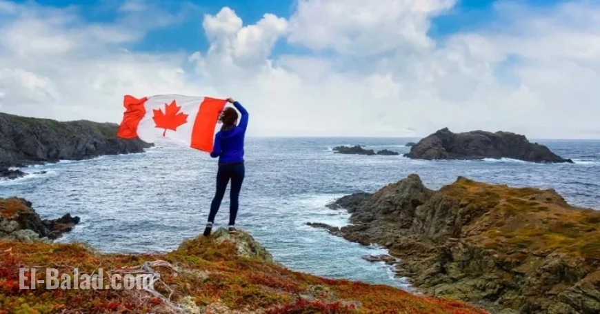 Newfoundland and Labrador Invites 100 Applicants via NLPNP and AIP Programs