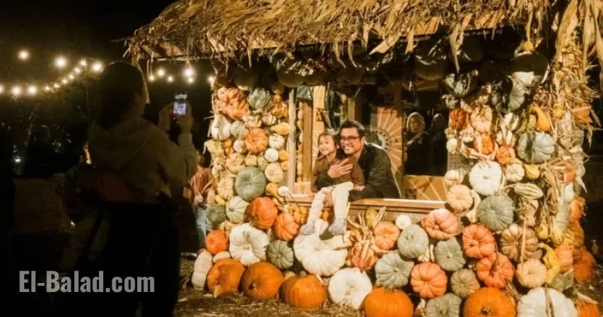 Top Activities in LA and SoCal: October 27-30