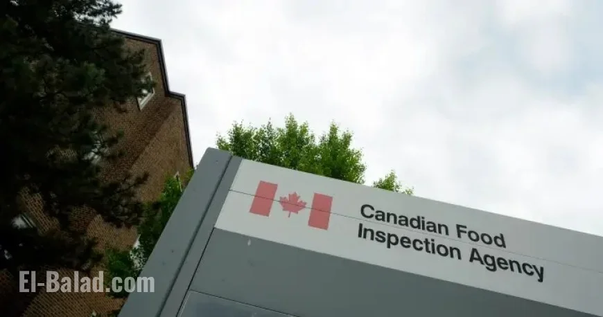 Canadian Soup Mix Recalled Over Insect Contamination