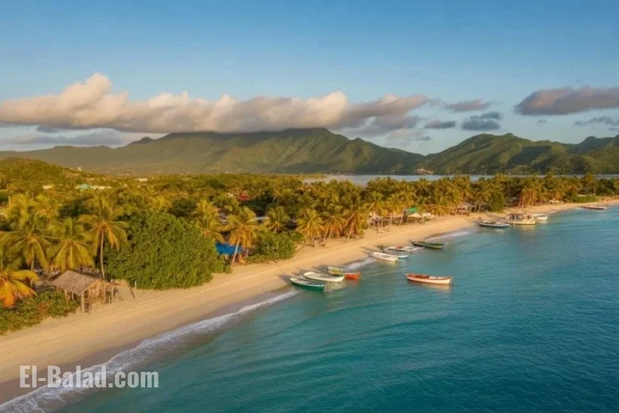 LIAT Air Expands Caribbean Routes, Enhancing Dominican Republic Connectivity