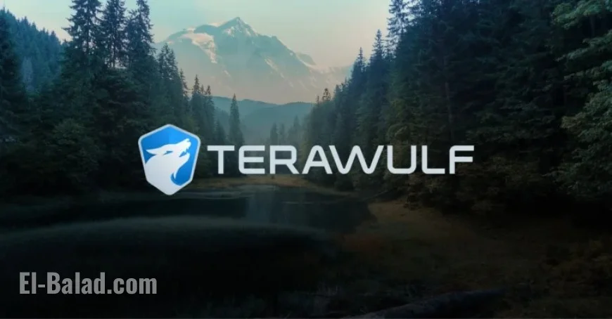 TeraWulf and Fluidstack Launch 168 MW AI Compute Joint Venture