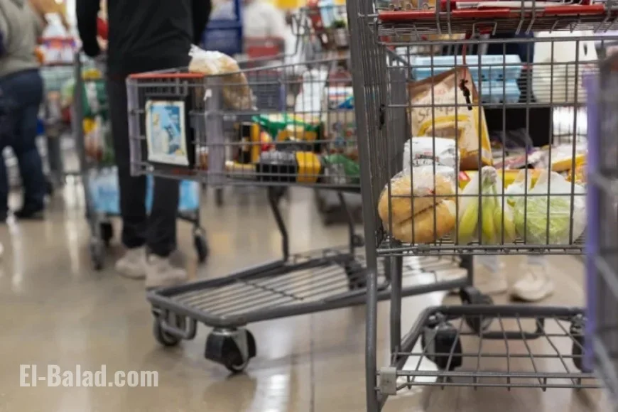 Impact of Federal Shutdown on November SNAP Benefits