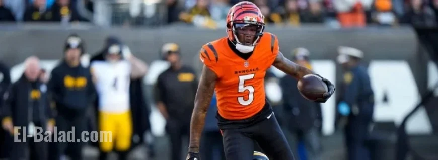 2025 NFL Week 9 Fantasy Football Projections by Top-Rated Model