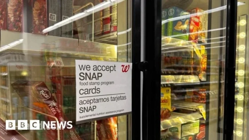 US States Sue Trump Over Halting SNAP Food Stamps