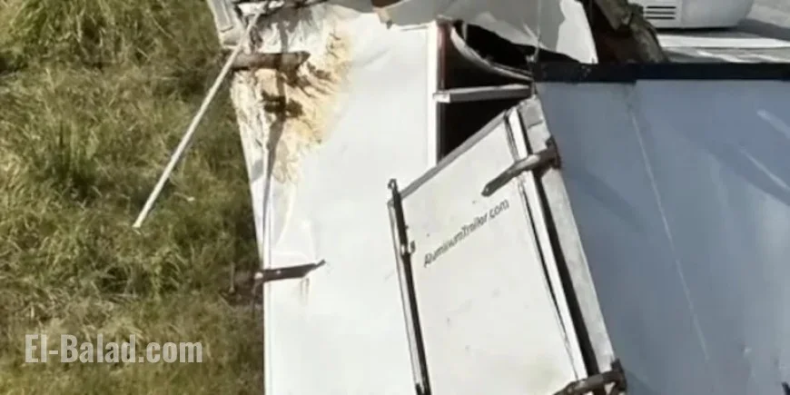 Truck Carrying Tulane Lab Monkeys Crashes on I-59