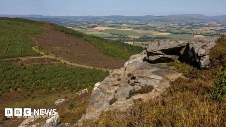 Sir David Attenborough Supports Campaign to Purchase Rothbury Estate
